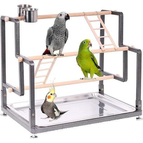 Aire de jeu pour oiseaux pour l'intérieur, cadre en métal robuste, installation sans outil, 4 perchoirs, 2 échelles et 2 gobelets pour oiseaux, pour petits et grands oiseaux (1/5)