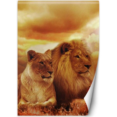 Papier peint Chats Couple de lions Animaux 200x280 (1/5)
