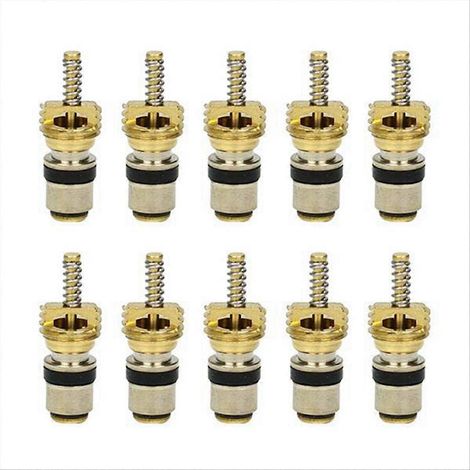 10 noyaux de valve de climatisation pour SSZFV (1/5)