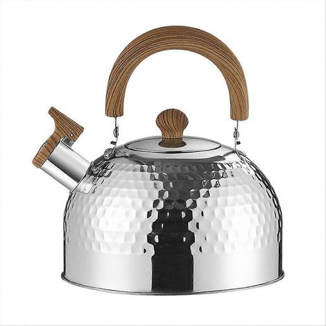 Bouilloire Vintage 3L avec Sifflet, Grande Capacité pour Cuisine, Théière en Acier, Modèle A (1/5)