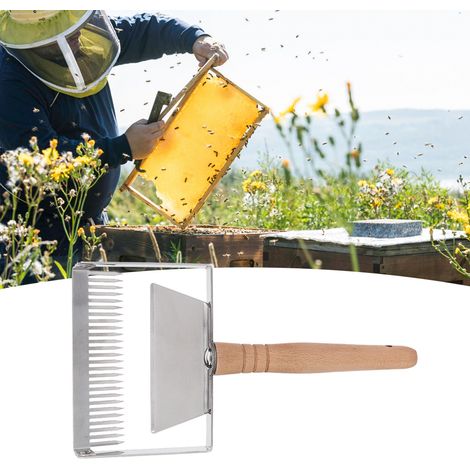 Nouvelle version 2019 d’outils apicoles pour ruchers : fourchette à miel élargie, couteau à miel, racloir et levier en acier inoxydable, équipement apicole, cadre de ruche, fondation de cadre, extract
