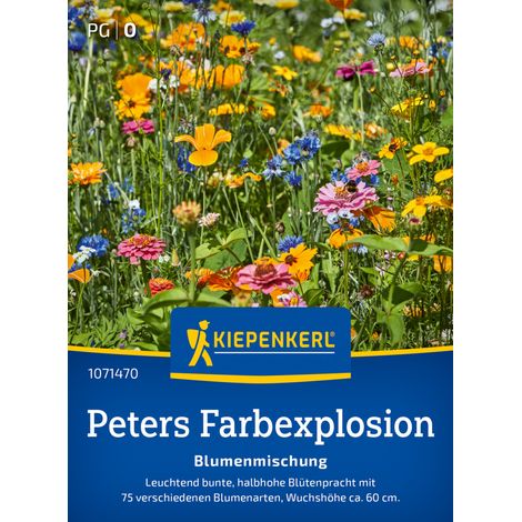 Kiepenkerl Profi-Line Blumensamen Blumenmischung Peters Farbexplosion 2 g für ca. 2 - 3 m²