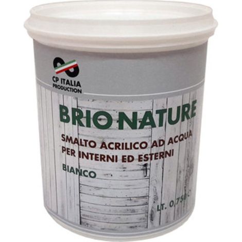 SMALTO ALLACQUA BRIO NATURE BIANCO SAT 0,750- 6,0 pz