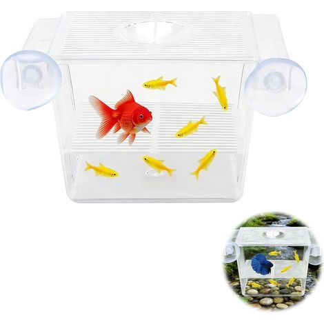 Aquarium-Inkubator, transparentes Acrylglas, Saugnäpfe, Aufzuchtbecken für Jungfische, Fischkinderstube, Guppy, Kampffisch, Garnelen (1/5)