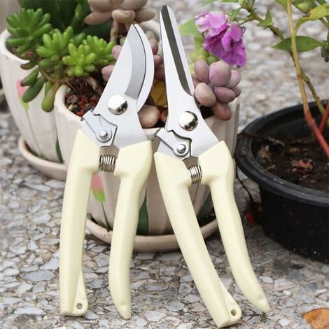 Forbici da potatura manuali per bonsai, forbici da giardino di alta precisione con lama curva in acciaio inossidabile (1/5)