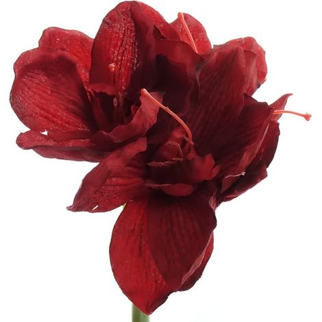 GASPER Amaryllis Rot 66 cm - Kunstblumen