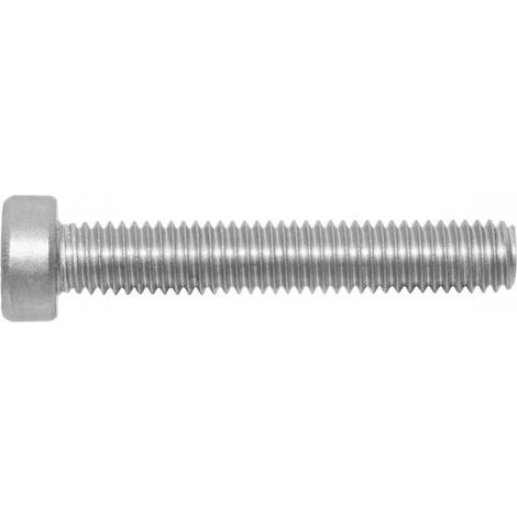 200 Vis à Métaux Tête Cylindrique Basse Six Lobes 4 x 30 mm - ISO 14580 - Inox A2 - D-Work
