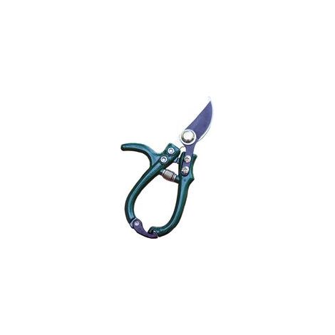 Forbici da potatura manuali multifunzionali con anello di sicurezza, molla in acciaio inox, forbici da potatura, cesoie per piante, verde - Crezuo