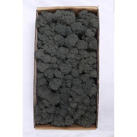 grisa Dcoration Murale En Mousse Prserve Vritable Mousse Prserve Aucun Entretien Requis Mousse Naturelle Prserve Pour La Maison, Les Ftes Murales