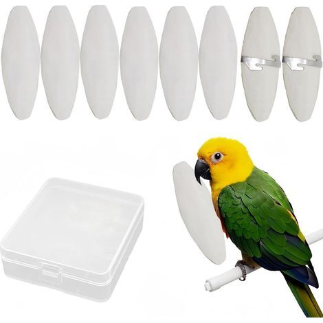 Set of 8 Cuttlebones, 9-12cm, Natural, Calcium, Birds, Turtles (1/5)