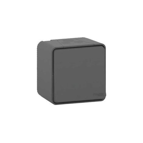 Pulsador MUREVA gris IP55 10 A 250 V AC para interiores y exteriores