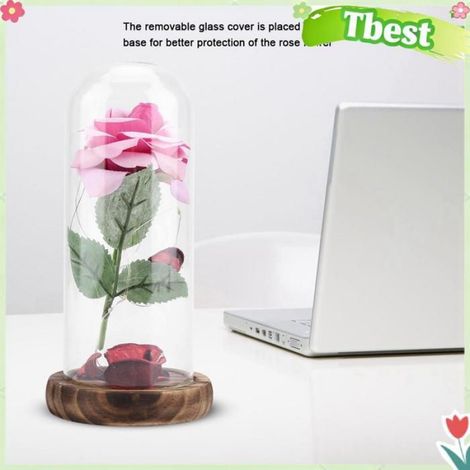 Lampe Fleur Rose - Fleurs Préservées avec Éclairage LED - Couvercle en Verre et Base en Bois - Décoration Intérieure - 1 Pièce (1/5)