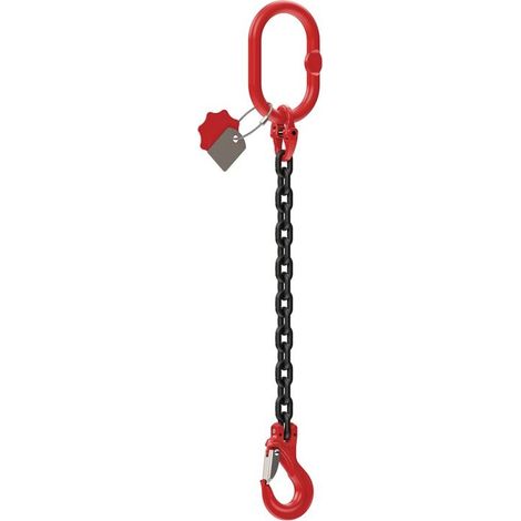 DOLEZYCH Kettengehänge 1-strängig Tragfähigkeit 1120 kgL1000xS6mm (1/2)