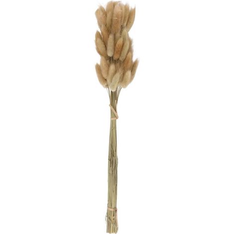 50 piezas de ramo de flores secas naturales en colores crudos para decoración de bodas. Hierba cola de conejo. (1/4)