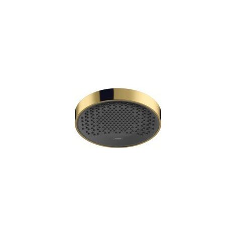 tête de douche 250 1jet EcoSmart aspect doré poli