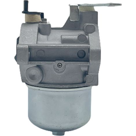 The Briggs & Stratton BP27A-1 carburetor is compatible with models 694526, 690119 and 499029.--DTEKGAZ