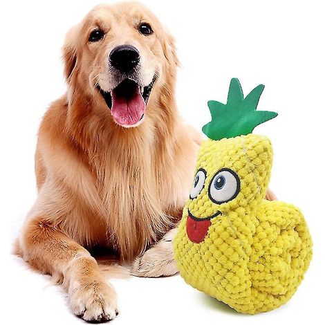 Jouet puzzle pour chien, jouet à mâcher couineur, distributeur de croquettes, jouet de fouille pour chien, jouet d'entraînement