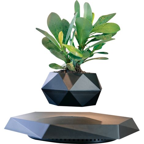 Pot de Fleur Lévitation Magnétique PZ1 Noir - Design Flottant Moderne sans Plante, Idée Cadeau Décoration Intérieure