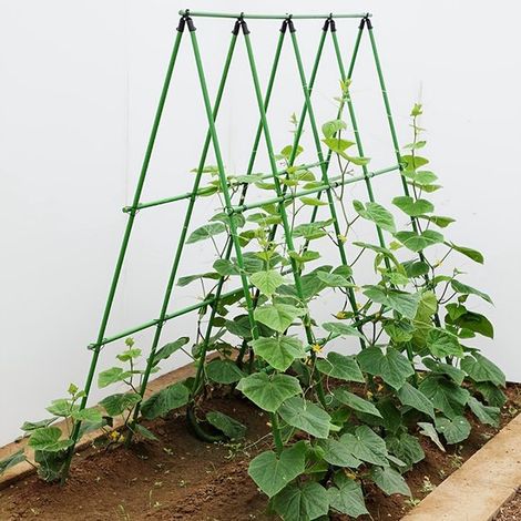 Ensemble de treillis de jardin réglables (40 pièces) pour vignes, concombres, haricots et rosiers (1/5)
