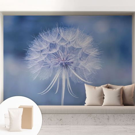 Tapete Vliestapete mit Kleber - abwaschbar - Tapete mit Motiv - trendige Wanddeko - elegant Fototapete Blaue Zartheit 208x146 cm (1/5)