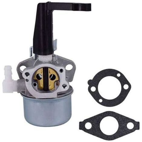 Carburateur pour 696065 697422 110402 110412 215369 Carburateur de Rechange pour Moteur de Motoculteur.. (1/5)