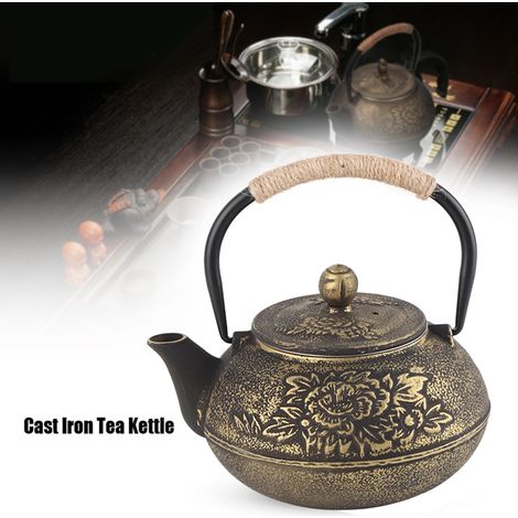 Théière japonaise en fonte de 900 ml avec infuseur amovible (1/5)