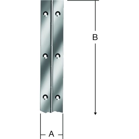 VORMANN Stangenscharnier B 32mm,L 2040mm Edelstahl rostfrei (1/2)