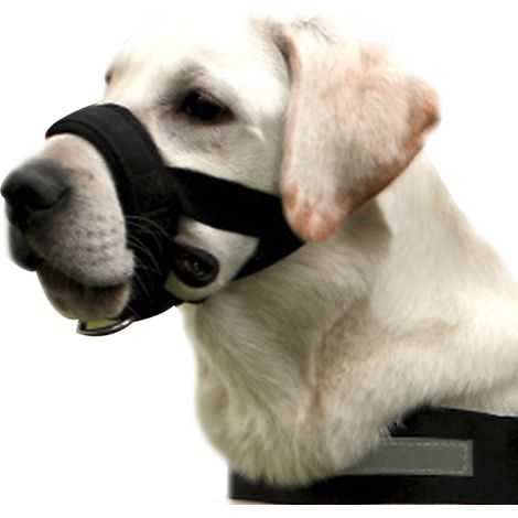 Maulkorb um Hunde vom Beisen, Bellen, anpassbare Schlinge (1/5)