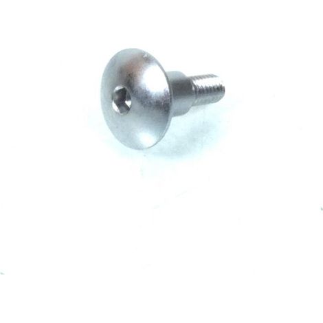 schraube m6 1.0 für roller suzuki 650 burgman 2003 bis 2011 (1/3)