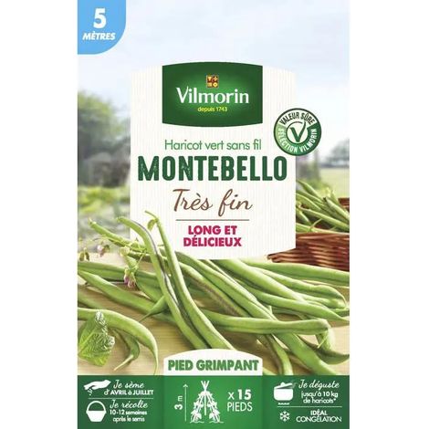 Samen Vilmorin montebello 5 m einfache Ernte