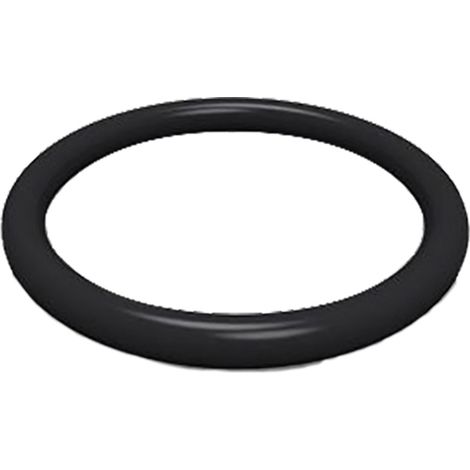 O-RING PER NIPLES M20 x 2  - ANNOVI REVERBERI