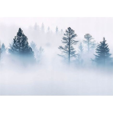 Papier peint panoramique forêt brume arbres intissé 150x105 cm mural salon chambre petit format déco (1/5)