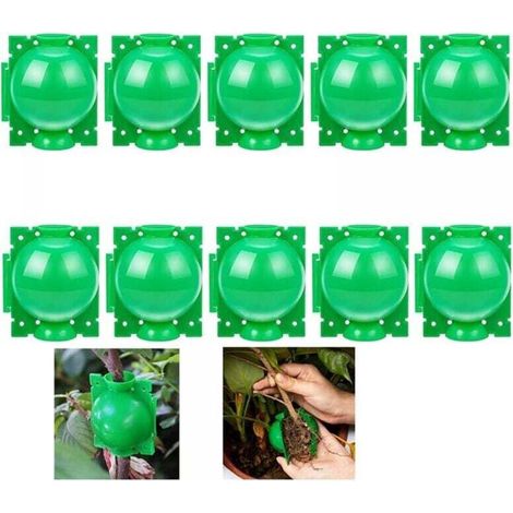 10 boules d'enracinement pour plantes - Boîte de greffe de jardin - Boîte d'enracinement pour semis - Boules de semis - 8 cm, vert (1/4)