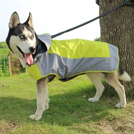 MINE Veste Imperméable Chien Pluie et Neige Veste Hiver Veste Réfléchissante Randonnée Montagne Vert S (1/5)