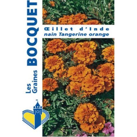 Oeillet d'Inde 'Tangerine orange' le sachet de 350 graines (1g) (1/2)