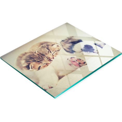 Planche à apéritif décorative en verre, motif chats et chiens, 60 x 52 cm (1/5)