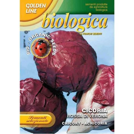 SEMI CICORIA ROSSA DI VERONA BIO (1/2)