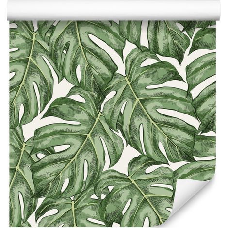 Carta da parati con foglie di Monstera per soggiorno e camera da letto, 50x1000 cm (1/5)