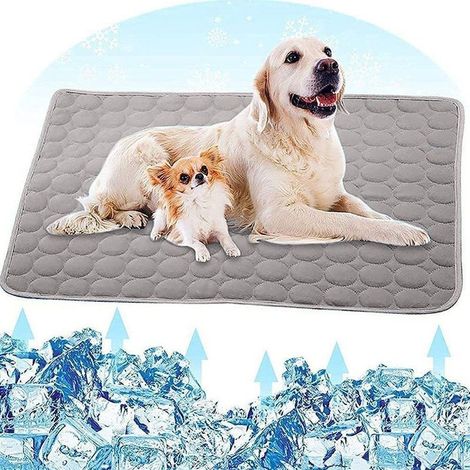 Tapis rafraîchissant pour chien, Tapis pour chien, Tapis rafraîchissant pour animaux de compagnie, Lit pour chien