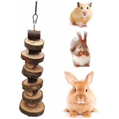 2 jouets à mâcher en bois de pommier, naturels et sécurisés pour rongeurs et oiseaux, favorisant l'usure dentaire et la digestion (1/5)