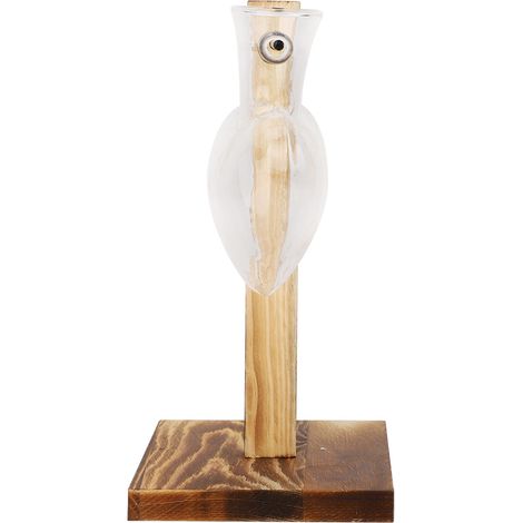 Vase hydroponique en verre en forme de cœur avec support en bois pour plantes hydroponiques (1/5)