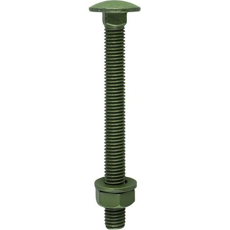 TIMCO Carriage Bolts DIN603 Hex Nuts & Form A Washers Green Exterior - M10 x 100 (1/2)