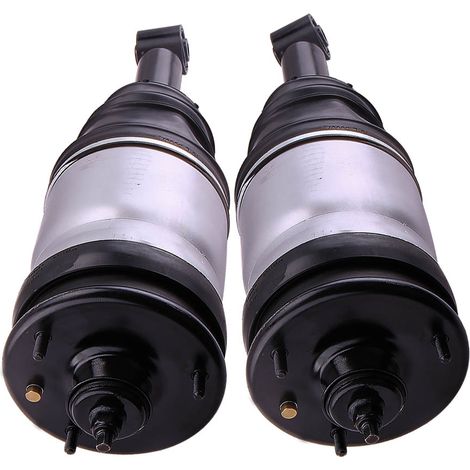 Stossdmpfer Federbein Luftfederung hinten RPD000308 for Land Rover Discovery (1/5)
