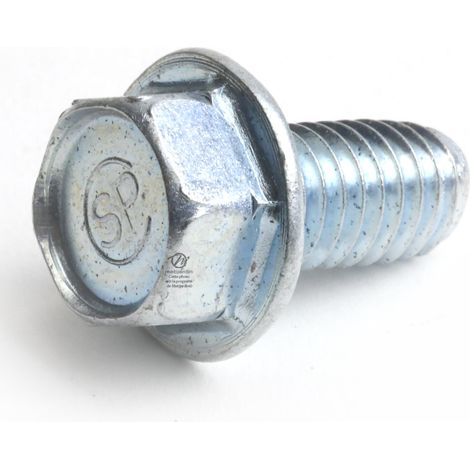 Vis autotaraudeuse pour AYP. Ø 9,5 mm (1/4)