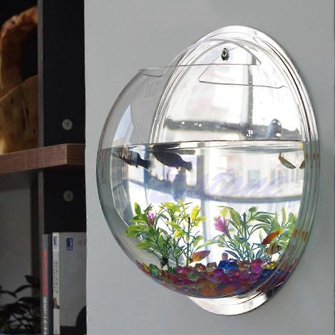 Bol en verre acrylique transparent mural pour poissons, vase suspendu décoratif à accrocher au mur (190 caractères)