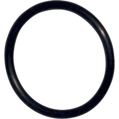 O-ring per meccanismo SIAMP, diametro 52mm, 2 pezzi