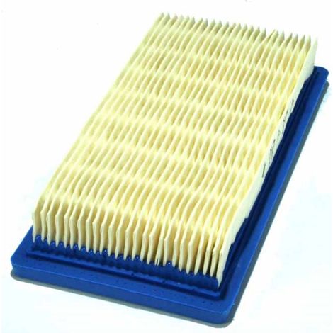 Filtro aria Vanguard 4 HP ad albero orizzontale 85400 BRIGGS &amp STRATTON