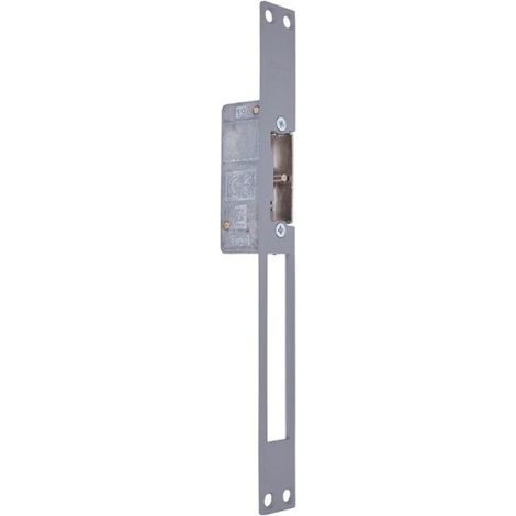 Abrepuertas Electrico Serie 45 Ad/M Gris Automatico Desbloqueo Dorcas