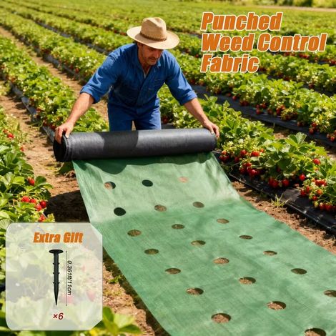 Toile de Paillage 6,1 m Double Couche – Barrière Anti-Mauvaises Herbes, Perméable et Durable, Jardin et Potager, Vert Foncé (60 cm) (1/5)
