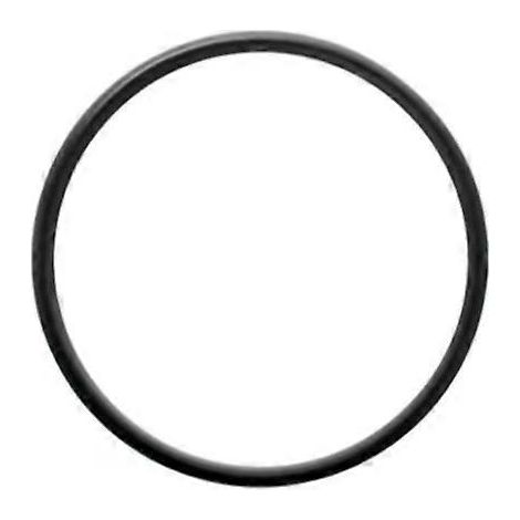 Lot de 10 joints toriques de rechange 6020018 pour pièces de filtre de piscine Pentair 350157 / 351157 ( ) (1/5)